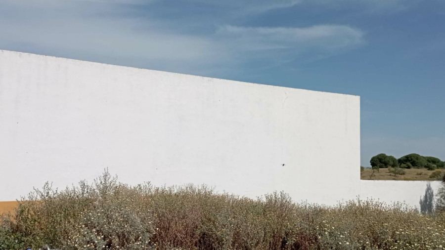 TASACION DE UN SOLAR EN LUCENA DEL PUERTO, HUELVA