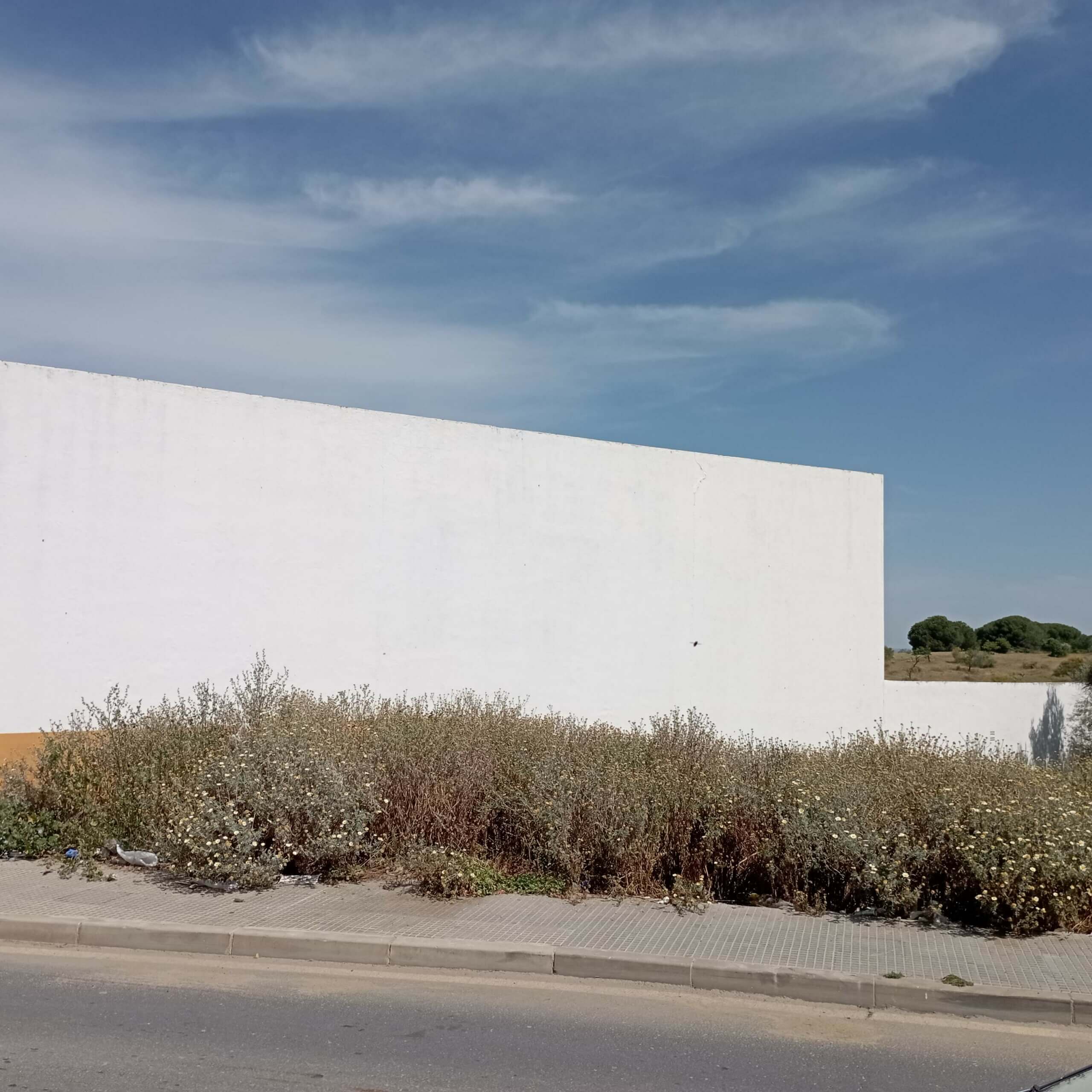 TASACION DE UN SOLAR EN LUCENA DEL PUERTO, HUELVA