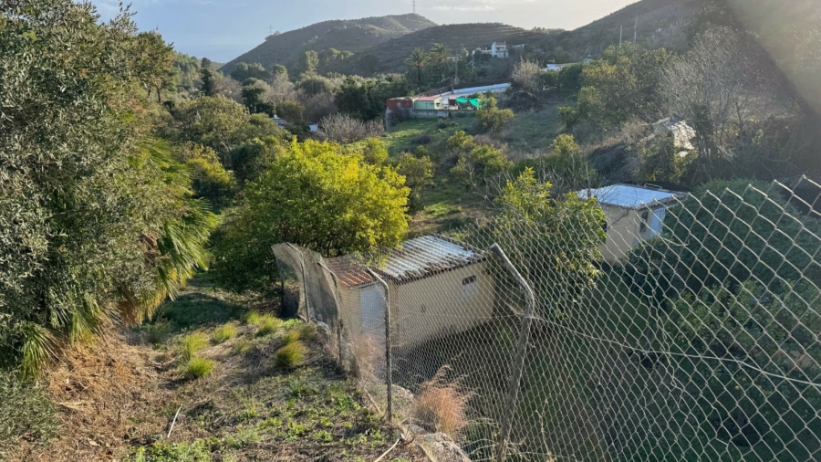 VALORACION PATRIMONIAL DE FINCA RUSTICA EN OJEN