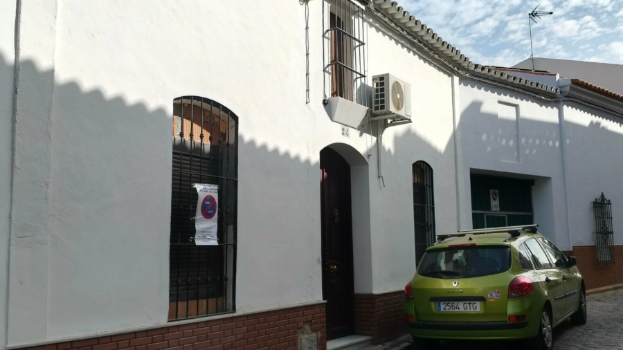 INFORME PERICIAL POR XILOFAGOS DE LA MADERA EN UNA VIVIENDA