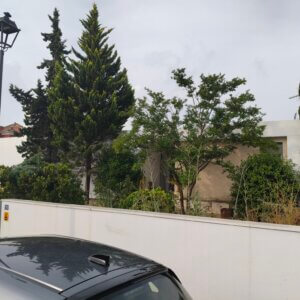 CEE DE UNA CASA EN LA DEHESA Y VALORACION PARA VENTA