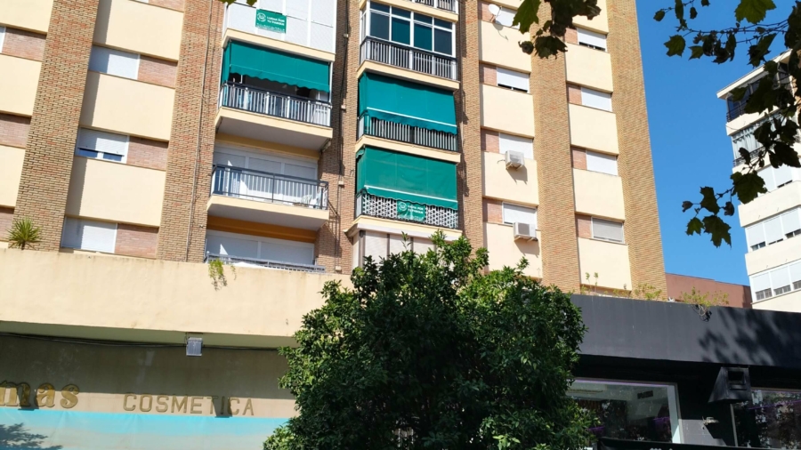 INFORME PERICIAL POR EVACUACION DE AGUAS DE CUBIERTA