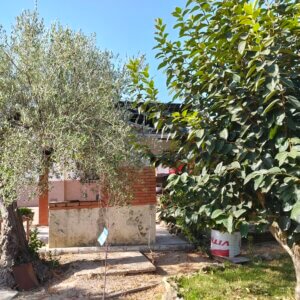 TASACION OFICIAL DE UNA FINCA RUSTICA EN GIBRALEON