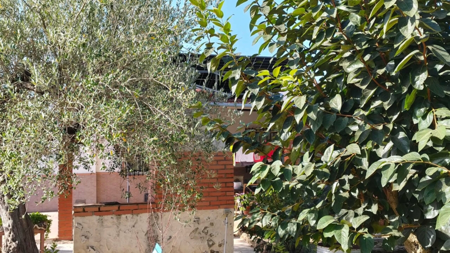 TASACION OFICIAL DE UNA FINCA RUSTICA EN GIBRALEON