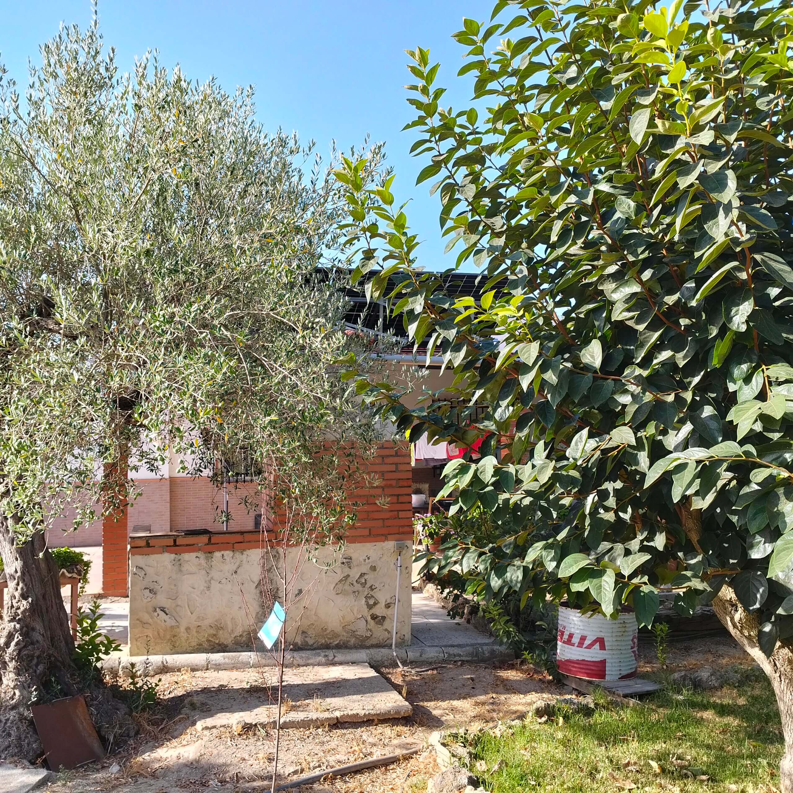 TASACION OFICIAL DE UNA FINCA RUSTICA EN GIBRALEON
