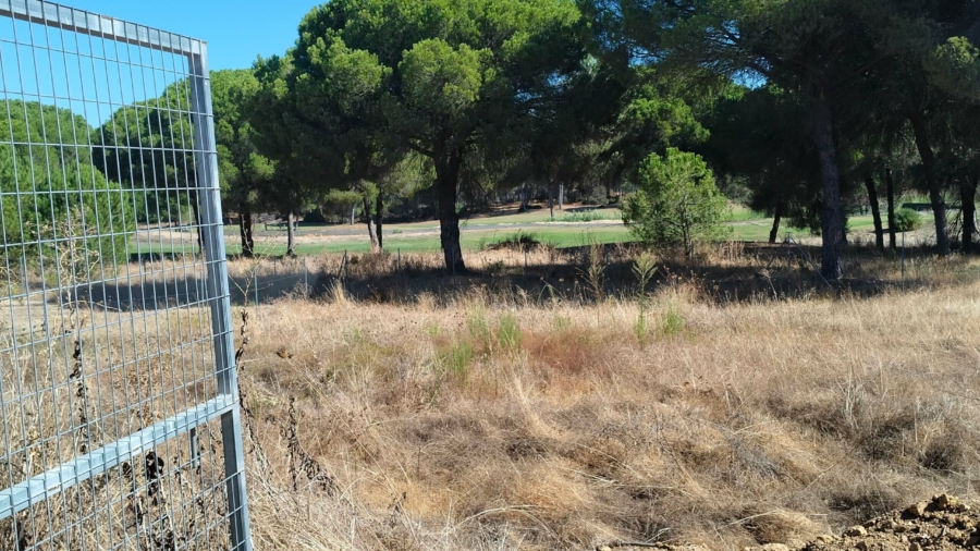 NUEVO PROYECTO DE 2 VIVIENDAS EN LA MONACILLA