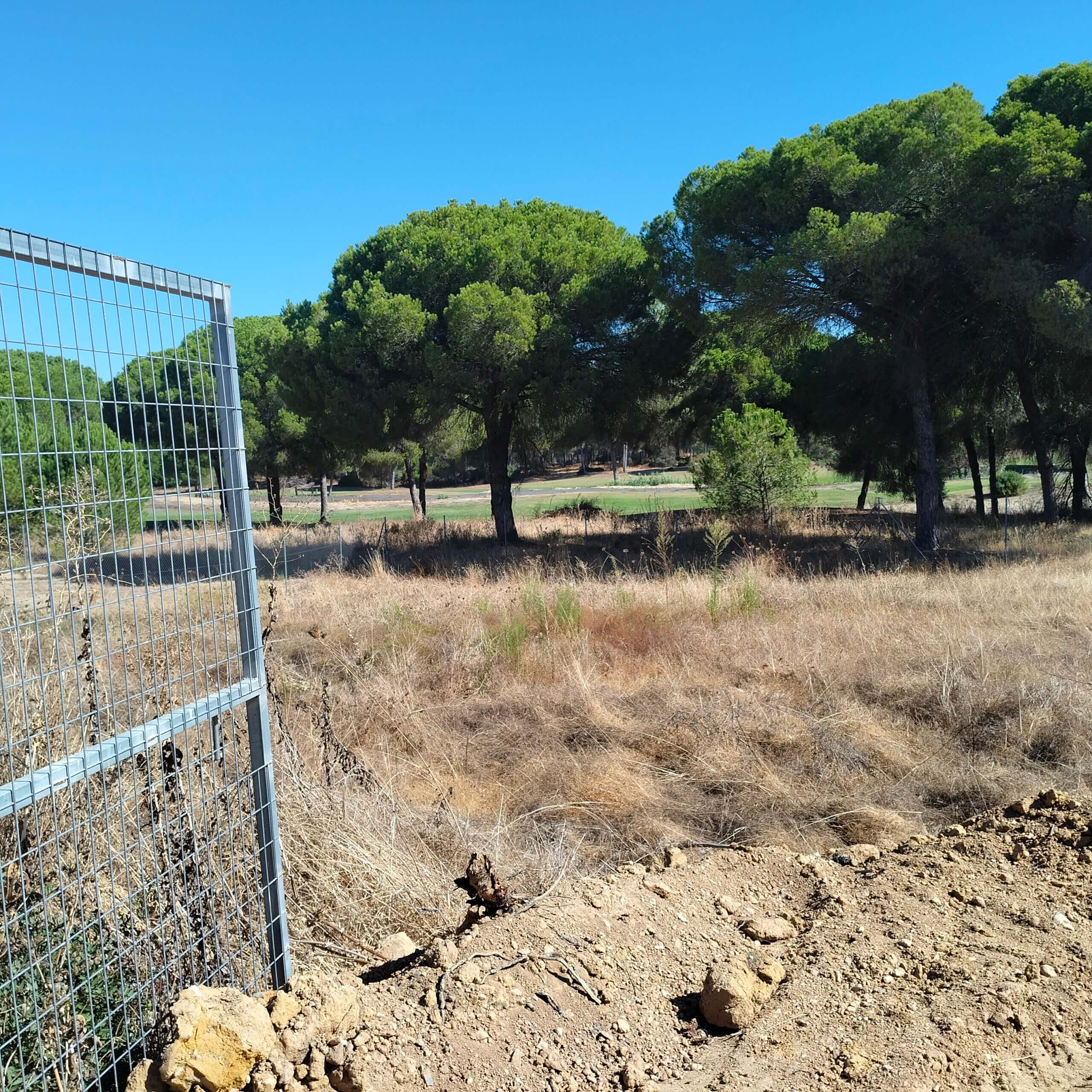 NUEVO PROYECTO DE 2 VIVIENDAS EN LA MONACILLA