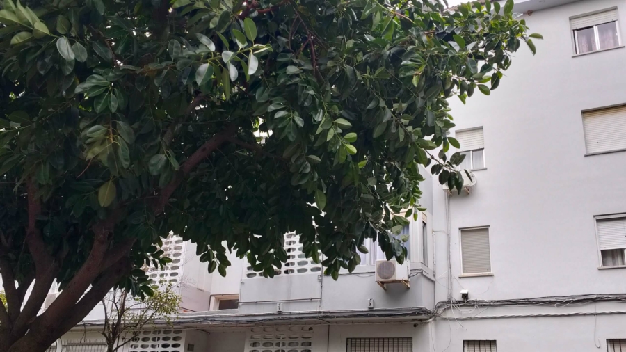 VALORACION PATRIMONIAL PARA UNA HERENCIA EN HUELVA