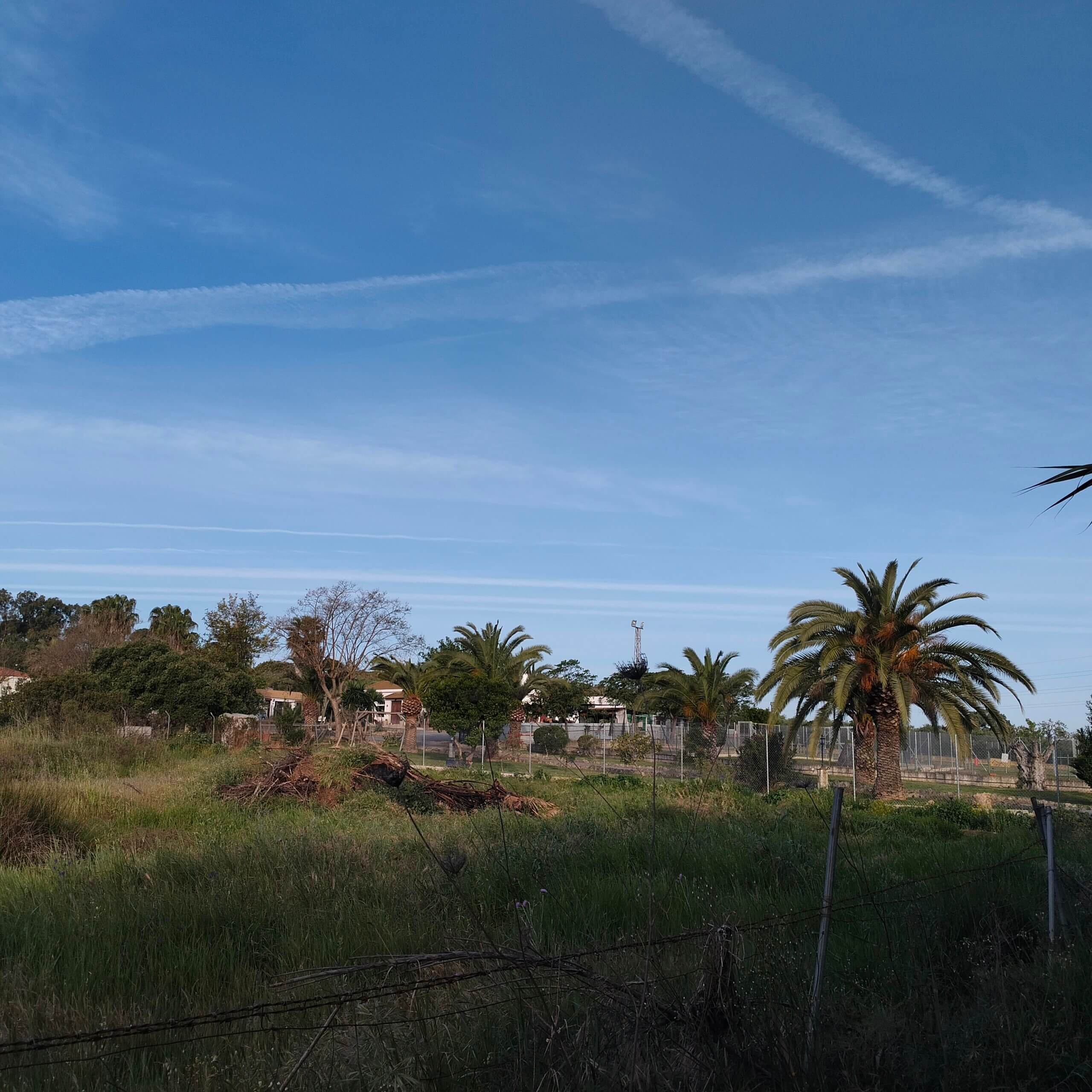 TASACION DE UNA FINCA RUSTICA EN GIBRALEON